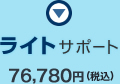 決算申告ライトサポート：76,780円(税込)